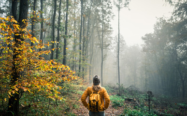 Wall Mural - hiking in misty morning at autumn forest. woman tourist with knit hat and backpack standing at footp