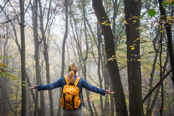 Wall Mural - enjoyment of nature. woman traveler with arms outstretched standing at autumn foggy forest.