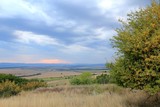 Fototapeta Sawanna - View of the plain from a height in the vicinity of the village of Avren (Bulgaria) at sunset