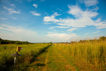 A landscape image taken at Audrey Carroll Audubon sanctuary. Image features reeds on by  a grass covered hiking trail where two people are walking. There is a bird house on one side of the path