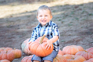 boy at pumpkin patch