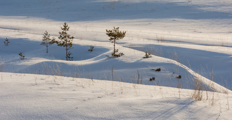 Landscape winter images in the area of the village of Shigony