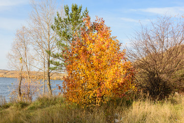 Wall Mural - Landscape images of autumn nature near the village of Shigony