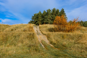 Wall Mural - Landscape images of autumn nature near the village of Shigony