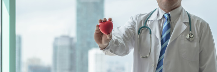 Cardiovascular disease doctor or cardiologist holding red heart in clinic or hospital exam room office for csr professional medical service, cardiology health care and world heart health day concept