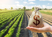 Hand Holds Out A Dollar Money Bag On A Background Of A Carrot Plantation. Support And Subsidies. Farm Loans. Lending Farmers For Purchase Land And Seed Material, Modernization. Revival Of The Village.