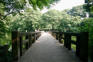  井の頭公園の橋