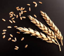 Wall Mural - Wheat on black