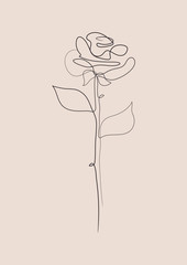 Wall Mural - Rose one line wall print. Abstract flower poster. Floral sketch art in pastel color.