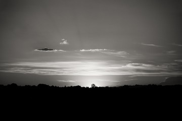 Wall Mural - Sunset. Clouds over the contours of forest. Black and white photo