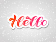 © Anastasia Gapeeva - Hello brush lettering. Vector stock illustration for card or poster