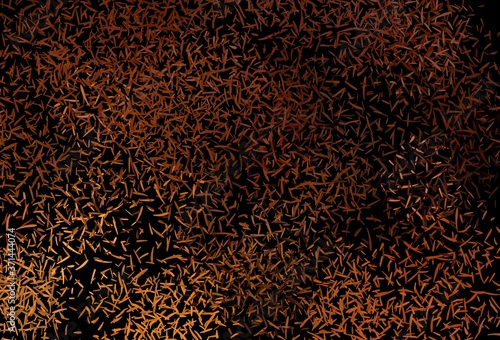 Cuadros en Lienzo Dark Orange vector layout with flat lines.