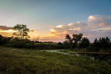 Evening Landscape With A Small Pond And Reeds