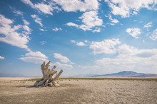 Utah Salt Flats Desert Landscape With Dead Tree And Distant Hills