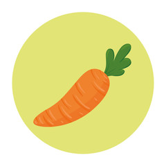 Canvas Print - fresh carrot vegetable in round frame, on white background vector illustration design