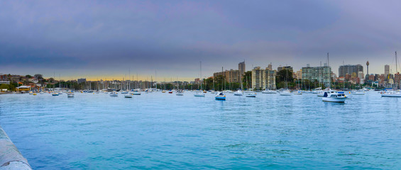 Wall Mural - Panoramic view of Rushcutters Bay Sydney NSW Australia