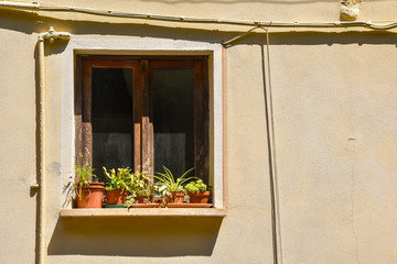 Poster - Close-up of the exterior of an old building with potted plants on the windowsill of a wooden window, Italy