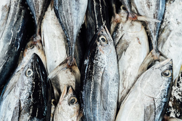 Raw of fresh fish at a market