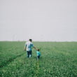 © Tetra Images - Rear view of father along with his son walking in field