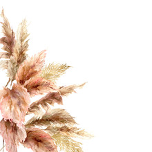 Watercolor Tropical Border With Dry Pampas Grass And Gold Textures. Hand Painted Exotic Frame Isolated On White Background. Floral Illustration For Design, Print, Fabric Or Background.