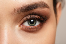 Female Open Eye Close Up. Eyebrow And Eyelash Makeup