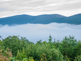 Fototapeta Na ścianę - fog in the valley below a scenic overlook along the skyway motorway in the talladega national forest, alabama, usa