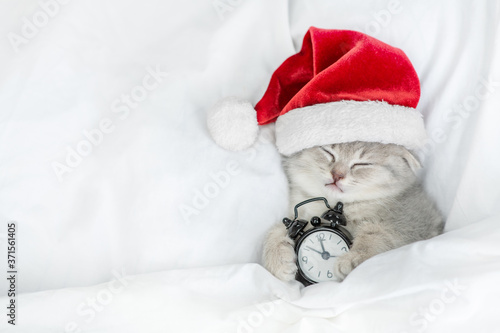 Gray kitten wearing red santa\'s hat sleeps with alarm clock under a white blanket on a bed. Top down view. Empty space for text