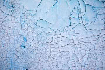  Texture of weathered and cracked blue paint on old wooden surface.