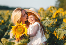 Happy Blonde Mother And Her Little Redhead Daughter In Straw Hat In The Sunflower Field.