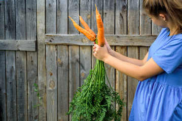 Wall Mural - Cute smiling girl with a bouquet of carrots.on a wooden background. autumn in the village, the farmer's harvest