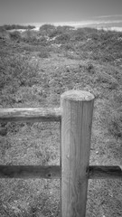 Wall Mural - The Ecovia Litoral Norte (North Coast Ecoway) wooden boardwalk in Esposende, Portugal.