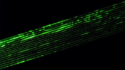 Laser Array