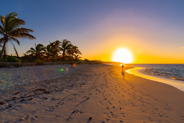 Sticker - romantic sunset beach on the Caribbean island of Anguilla