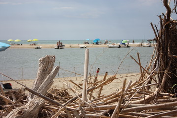 the clean sea with the sandy summer beach of marina di pisa