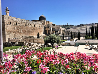 Wall Mural - view of the city of jerusalem