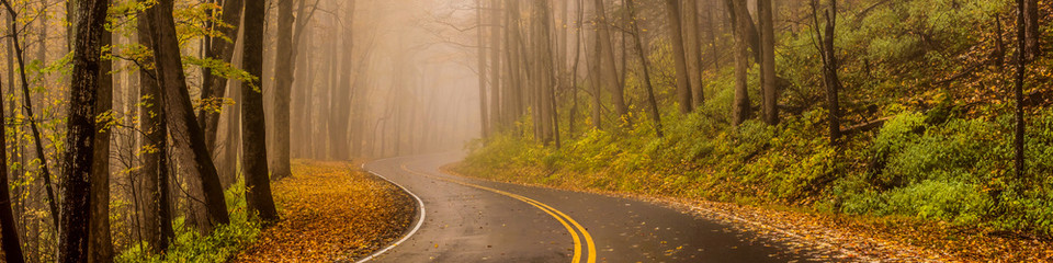 Winding autumn road through Great Smoky Mountains National Park