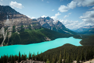 Wall Mural - Peyto Lake during summer in Banff National Park, Alberta, Canada.