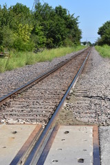 Canvas Print - Train Tracks