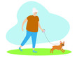 © vikusha_art - Smiling senior woman walking with french bulldog outdoor. Happy old lady with her favorite pet. Healthy lifestyle and active pastime for elderly people. Vector flat cartoon illustration.