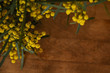 Bunch of yellow wattle blossom on wooden table with copy space