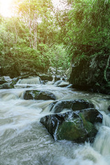 Mountain stream in green forest at spring time