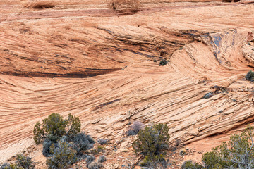 Wall Mural - bedding planes in rock arches national park utah usa