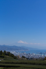 Wall Mural - 日本平からの富士山