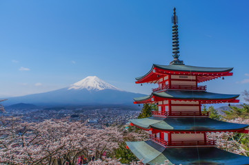 Wall Mural - 新倉山浅間公園からの富士山