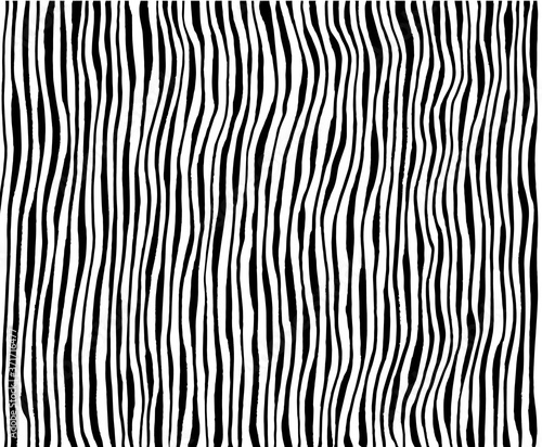 Fotografía Zebra print, animal skin, tiger stripes, abstract pattern, line background