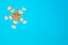 Summer Background, Seaside Vacation, Starfishes, Seashells And On A Turquoise Blue Background