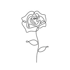 Wall Mural - Rose continuous line drawing, tattoo, print for clothes and logo design, decorative flower silhouette single line on a white background, isolated vector illustration.