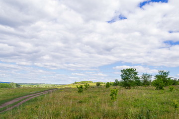 Wall Mural - Landscape images of nature near the village of Cheremukhovo, Samara region