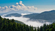 Schwarzwald mit Nebelschwaden im Tal