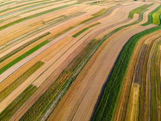 Sticker - Natural Patterns of Farmfields in Countryside at Summer. Drone Aerial View